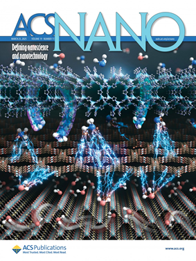 ACS Nano supplementary cover for millisecond carbon nanoonion synthesis and single-atom functionalization
