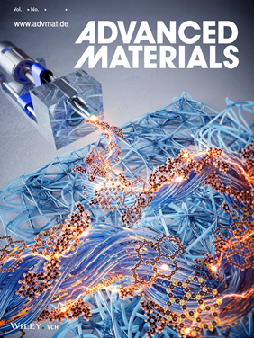 Advanced Materials frontispiece for multifunctional composite fibrous materials using porous organic polymers