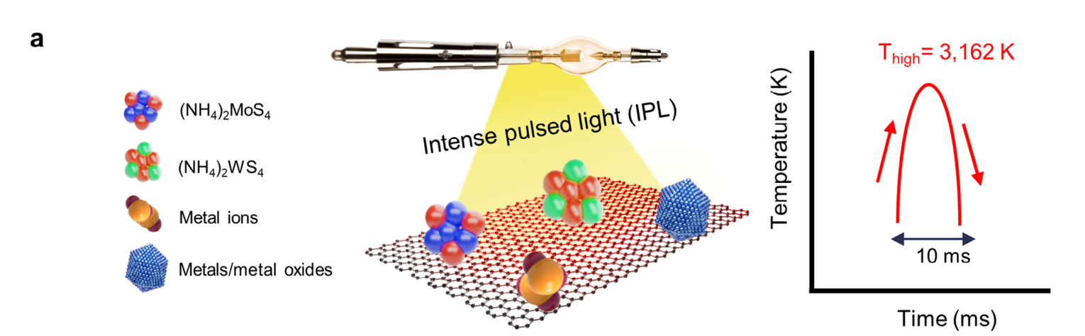 Advanced Materials 2025 Figure 1a schematic showing intense-pulsed-light preparation of TMDs and TMCs