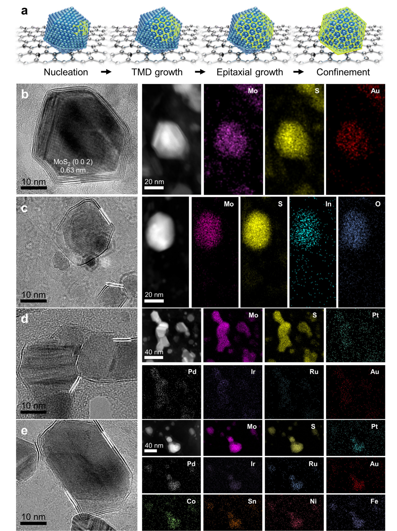 Advanced Materials 2025 Figure 3 showing microscopy and elemental mapping of compositionally diverse core at TMD shell heterostructures