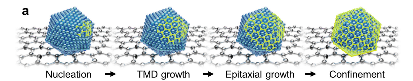 Advanced Materials 2025 Figure 3a showing nucleation, TMD growth, epitaxial growth, and confinement of core at TMD nanoparticles